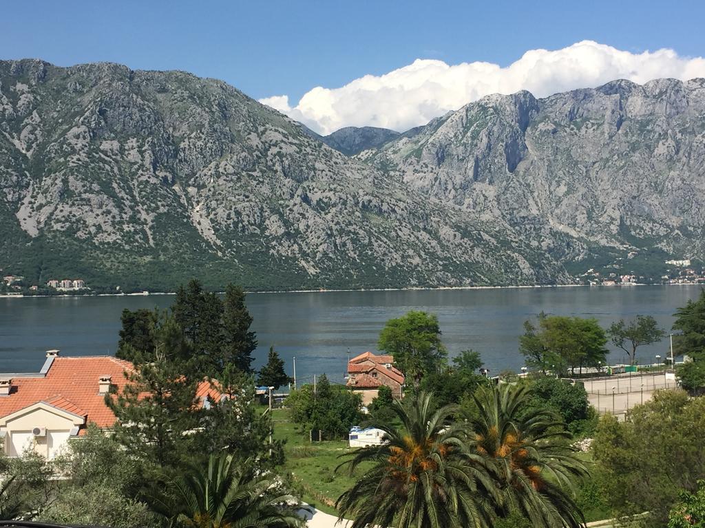 Stanojevic * Kotor